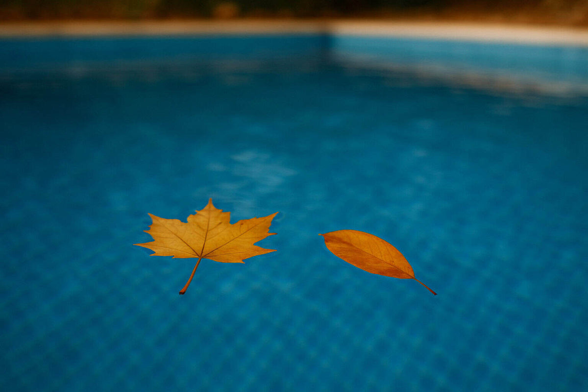 Pool richtig überwintern: So machst du deinen Pool winterfest