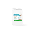 Bayrol Desalgin CLASSIC 6 l