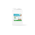 Bayrol Desalgin JET 6 l