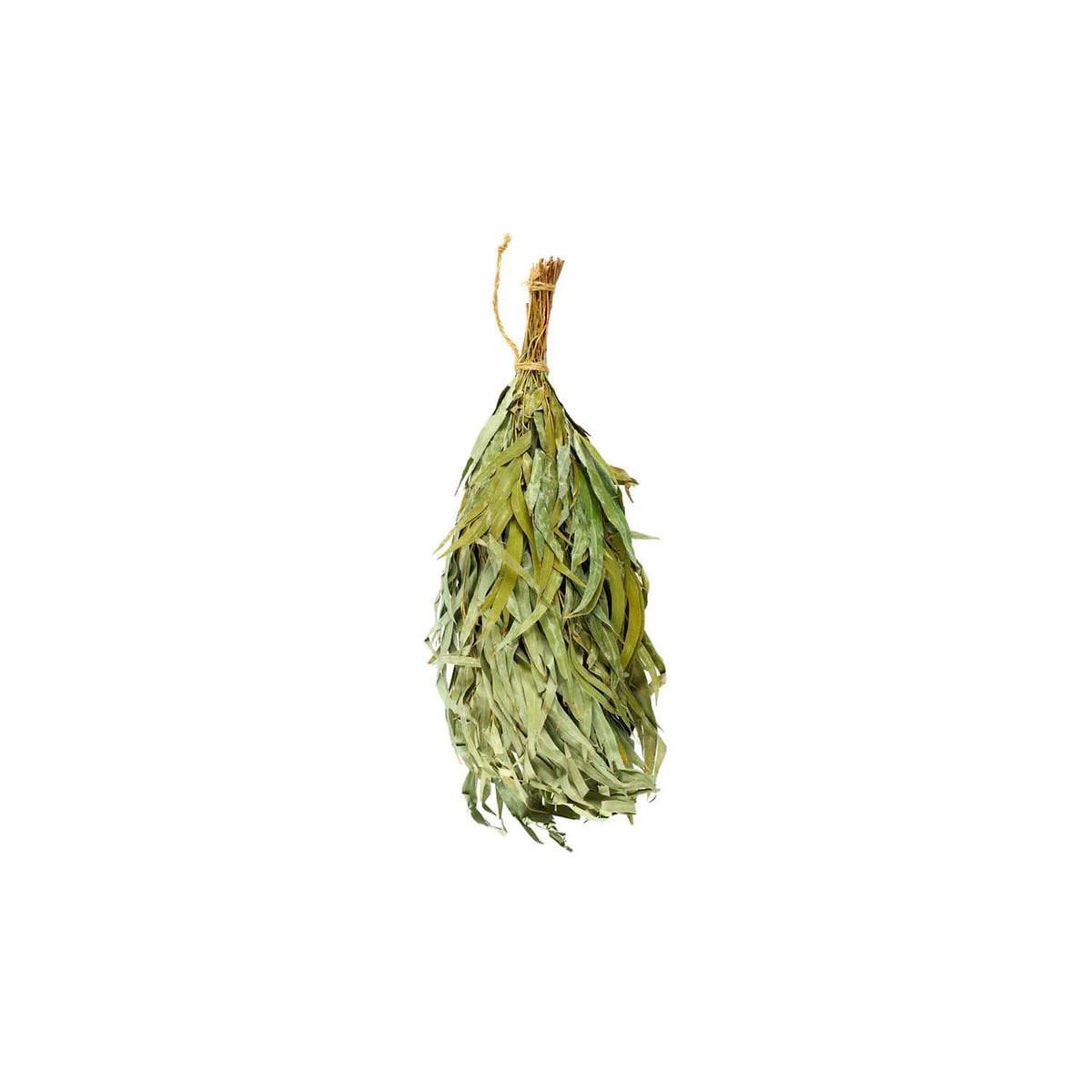 Rento getrockneter Saunabesen / Quast / Strauß / Wenik / Reisig Eukalyptus